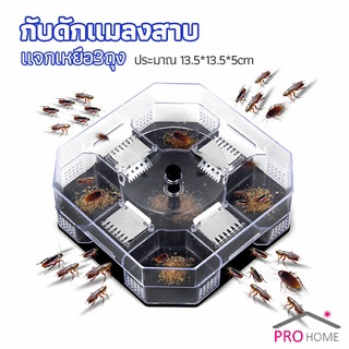 ที่ดักแมลงสาบ ที่ดักแมลงสาบ กล่องดักแมลงสาบ  cockroach trap