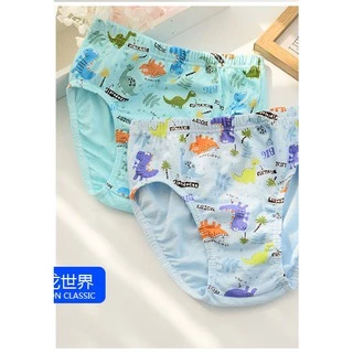 แพ็ค 5 ชิ้น กางเกงในเด็ก กางเกงในเด็กผู้ชาย 100% COTTON [size 2-12 ปี]