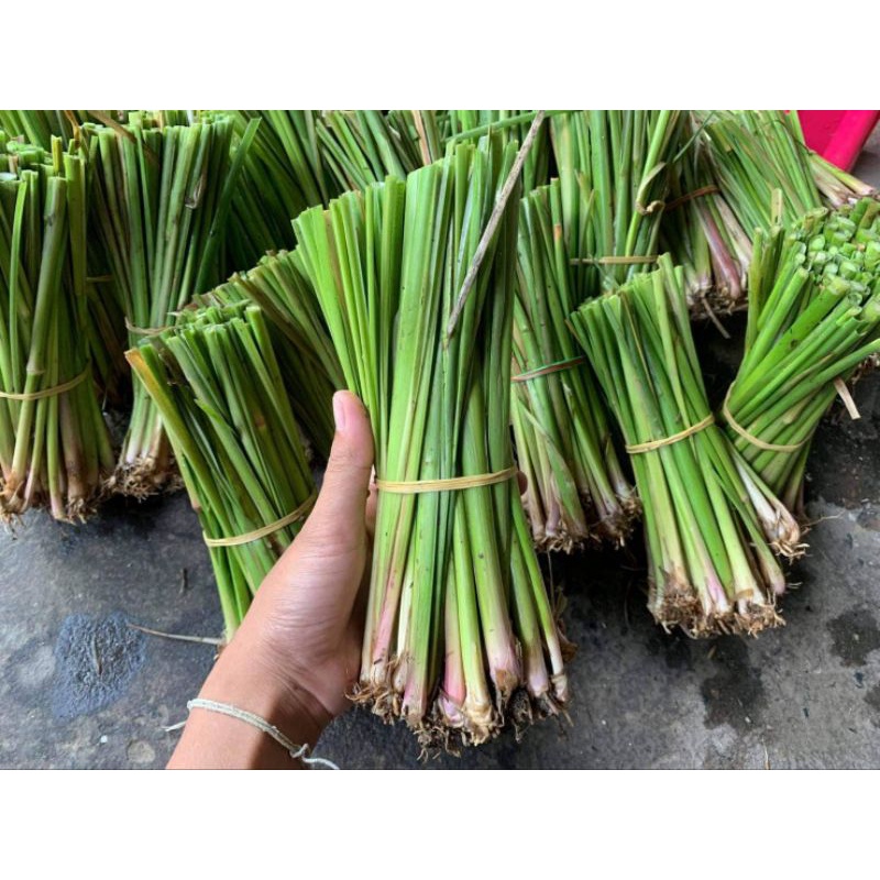หญ้าแฝกหอม(ใบไม่คม) 500 ต้นแถม 100 ต้น