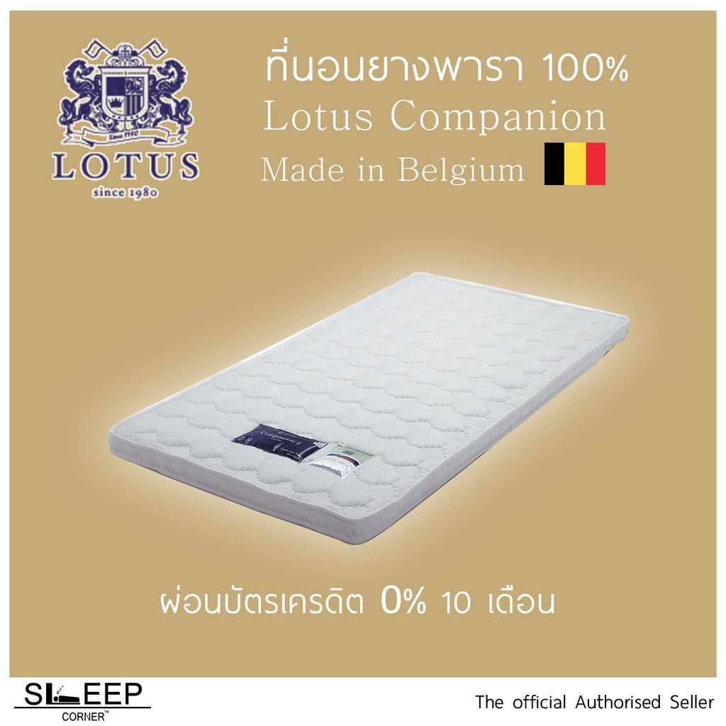 Topper ยางพาราแท้ Lotus Companion 3นิ้ว และ 4นิ้ว ขนาด 3.5ฟุต ผ่อน 0%