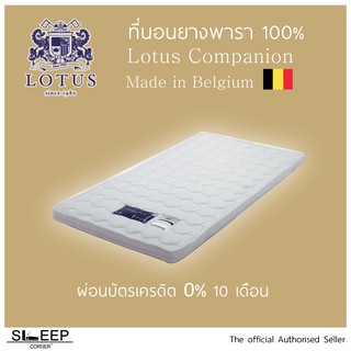 Topper ยางพาราแท้ Lotus Companion 3นิ้ว และ 4นิ้ว ขนาด 3.5ฟุต ผ่อน 0%