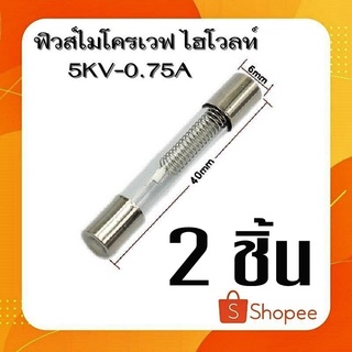 #C-06 อะไหล่ไมโครเวฟ ฟิวส์ไมโครเวฟ ฟิวส์ไฮโวลท์ 5KV-0.75A ขนาด 6x4 cm ราคาต่อ2ชิ้น