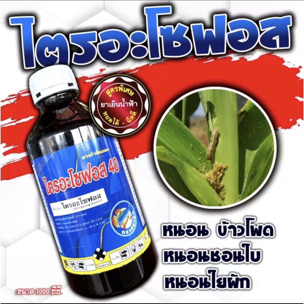 ไตรอะโซฟอส ปลายฟ้า ปลากัด  1000cc.สูตรเย็น กำจัดหนอนเพลี้ยแมลงบิน บั่ว ชนิดกึ่งน็อคกึ่งดูดซึม คลอไพ โพรฟิโนฟอส