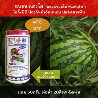 หนอนแตงโม หนอนชอนใบแตงโม หนอนเจาะแตงโม หนอน แตงโม ฉีดพ่น ไอกี้-บีที