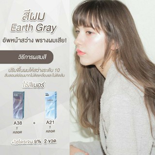 Berina เบอริน่า เซตสีผม Earth Gray สีน้ำตาลโทนน้ำตาลสว่าง อมควันบุหรี่ (A38 / A21)