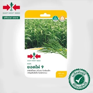 ศรแดง เมล็ดพันธุ์ผักบุ้ง ยอดไผ่ 9 (East-West Seed) เมล็ดพันธุ์ผัก เมล็ดพันธุ์ ผักสวนครัว ตราศรแดง