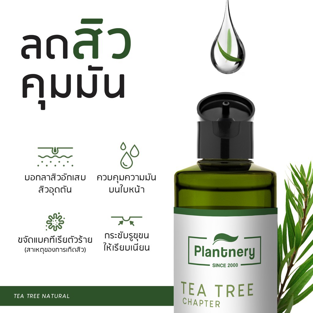 innisfree green tea seed serum tea tree Plantnery Tea Tree First Toner ...