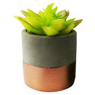 ที่สุด✅  ไม้อวบน้ำในกระถางเซรามิค  01 ARTIFICIAL POTTED PLANT WITH POT SPRING 01 สินค้าคุณภาพสูง