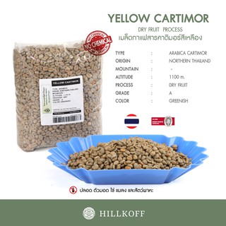 Hillkoff : Hillkoff เมล็ดกาแฟสาร พร้อมคั่ว!! Green Beans Dry 22/23 :Arabica Yellow Cartimor A 1 Kg เมล็ดกาแฟดิบ