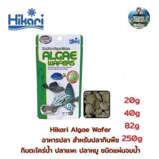 Hikari Algae Wafer อาหารปลา สำหรับปลากินพืช กินตะไคร่น้ำ ปลาแพะปลาหมู ชนิดแผ่นจมน้ำ