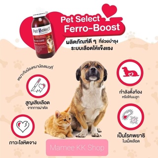 FERRO BOOST Pet Select ปี 2025🏅ของแท้ เร่งบำรุงเลือดด่วน🩸เข้มข้น ผ่าตัด พยาธิในเม็ดเลือด ตั้งท้อง บริจาคเลือด