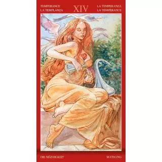 ไพ่ทาโรต์ ภาษาอังกฤษ 78 แผ่น Tarot of Sexual Magic