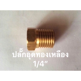 ปลั๊กอุดทองเหลือง ขนาด 1/4”