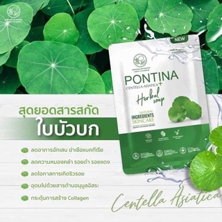 Pontina Herbal Soap สบู่ใบบัวบกลดสิวพรทิน่า