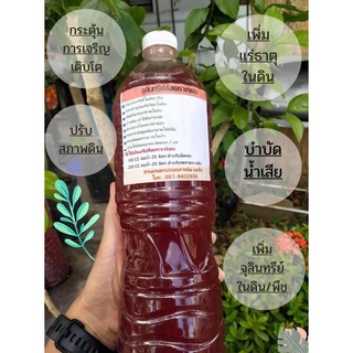 หัวเชื้อ จุลินทรีย์สังเคราะห์แสง สูตรเข้มข้น 1500 ml.