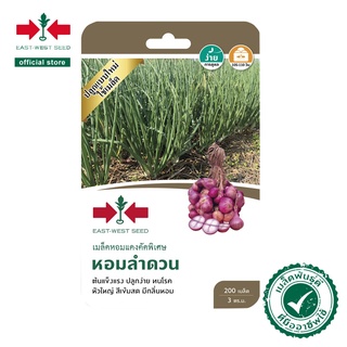 ศรแดง เมล็ดพันธุ์ผักหอมแดง หอมลำดวน (East-West Seed) เมล็ดพันธุ์ ผักสวนครัว  ตราศรแดง