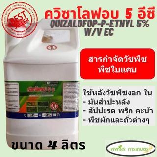 ควิซาโลฟอบ 5 อีซี (quizalofop-P-ethyl) 5% W/V EC ขนาด 4 ลิตร กำจัดวัชพืชใบแคบ ล้มลุก เช่น หญ้านกสีชมพู,หญ้าตีนนก,หญ้าตีน