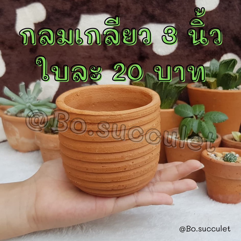 กระถางดินเผา กลมเกลียว 3 นิ้ว แคคตัส ใส่ต้นไม้จิ๋ว ต้นเล็ก เครื่องปั้นดินเผา ของแต่งบ้าน จัดสวน