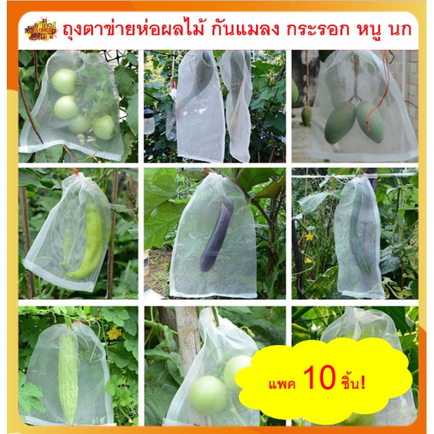 ลด15%[แพค10ชิ้น] [ถูกที่สุดในไทย] ถุงห่อผลไม้ ผักผล ถุงตาข่ายห่อผลไม้ กันแมลง นก หนู กระรอก ทำจากไนล่อน