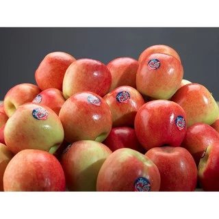 แอปเปิ้ลแจ๊ส (6ลูก) (USA/NZL) ~ลดพิเศษ~ Jazz Apple หวาน กรอบ อร่อย ! ผลไม้ต่างประเทศ ผลไม้พรีเมี่ยม ผลไม้เดลิเวอรี่