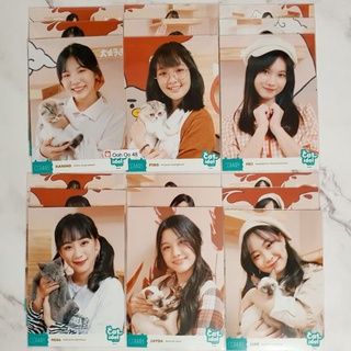 Photoset Comp คอมพ์ Cat idol Cgm48  คนิ้ง  ปิ้ง เหมย นีน่า เจย์ดา เจเจ