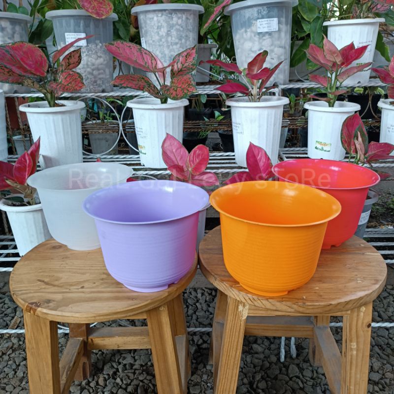 หม้อ NKT GUAVA******