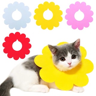 (Hi Pet) Cat Collar คอลล่าแมว ปลอกคอกันเลีย ปลอกคอดอกไม้[PS0020]