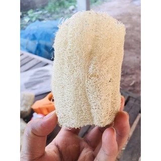 ใยบวบ ใยบาง ชิ้นละ5บาท ขนาด2 นิ้ว