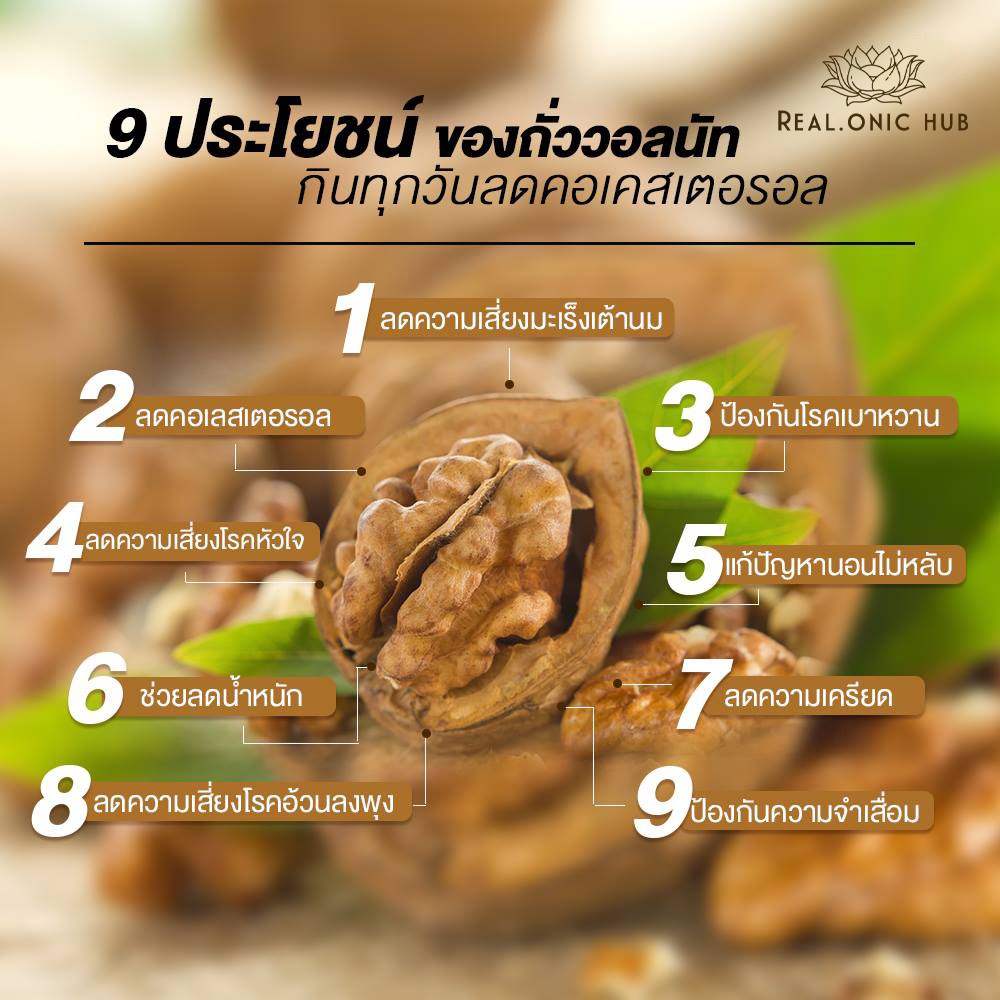 🎊ล๊อตใหม่ 😍 ถั่ววอลนัท ดิบ เม็ดใหญ่ ไม่ขม 😍 Raw Premium Big Walnut / No Bitter 💝 USA 💝 Natural 100% - รูปที่ 3