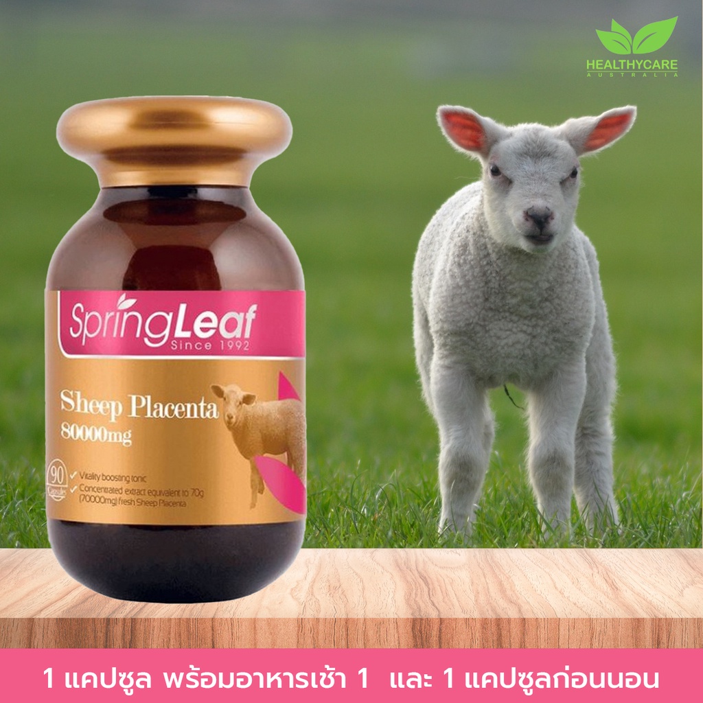 Springleaf Sheep Placenta 80000 mg 90 capsules รกแกะนางงามออสเตรเลีย แท้การันตี