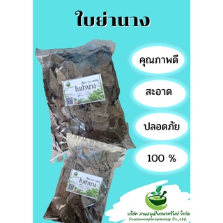 ใบย่านางอบแห้ง ขนาด 100 กรัม ช่วยปรับสมดุลในร่างกาย
