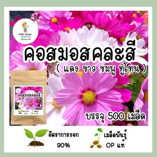 เมล็ดพันธุ์ คอสมอส คละสี 500เมล็ด