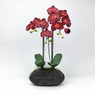 OrientalFineArt ดอกกล้วยไม้ปลอม phalaenopsis orchid plant pot arrangement