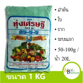 (1 KG) ทุ่งเศรษฐี ปุ๋ยเกล็ด 25-5-5 ฉีดพ่น บำรุงยอด ใบ ราก ลำต้น ในระยะแรก หรือระยะฟื้นต้น พืชดูดซึมผ่านรากและใบ 0085