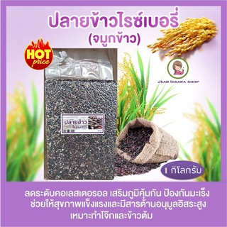 จมูกข้าว ปลายข้าวไรซ์เบอร์รี่ 1 Kg. หุงข้าวต้ม โจ๊ก คนท้องทานได้