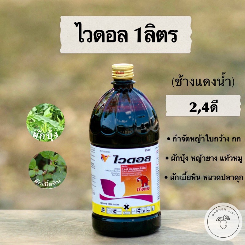 วัชพืช ไวดอล (2,4ดี) 1,000ml ช้างแดงน้ำ ตราช้างแดง สารกำจัดหญ้าใบกว้าง หัวเสือ กำจัดวัชพืช ผักบุ้ง ผักปอด เทียนนา