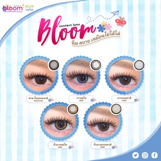 Bloom Alice Color คอนแทกเลนส์สีรายเดือนสวยในสบายตาค่าอมน้ำสูง