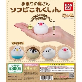 🅟🅕 กาชาปองนกหลากหลายสายพันธุ์ Hand-Riding Birds Soft Vinyl Collection gashapon