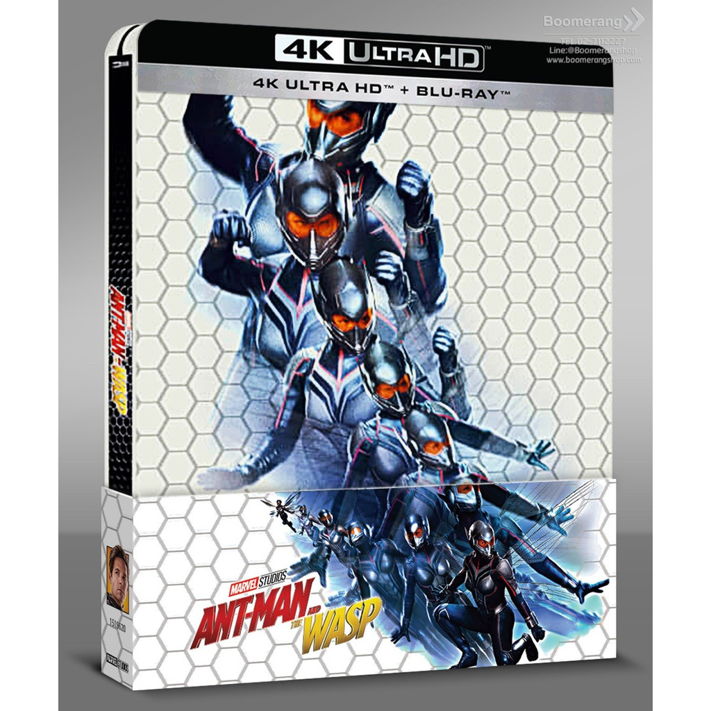 Ant-Man and the Wasp/แอนท์-แมน และ เดอะ วอสพ์ (4K Ultra HD + Blu-ray + Steelbook) (4K มีซับไทย)