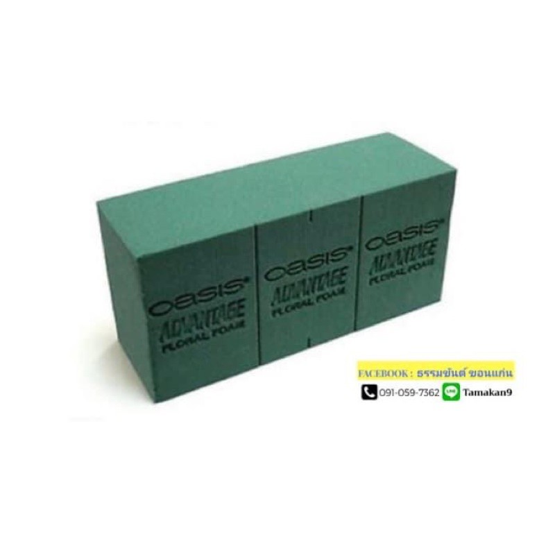 โอเอซิส oasis ที่จัดดอกไม้