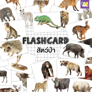 แฟลชการ์ด (flash card) สัตว์ป่า (Wild Animals) จำนวน 25 ใบ ขนาด A5