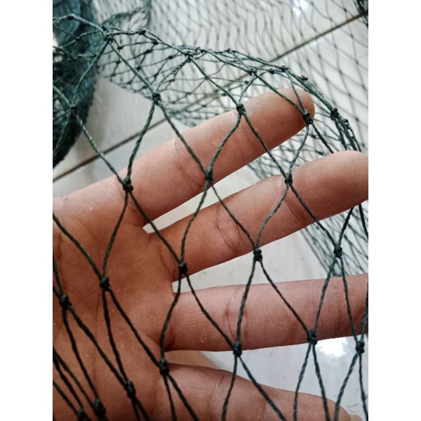 ไก่ CAGE FENCE NET D9 LUBANH 2CM X 2CM ขนาด 1M X 20M