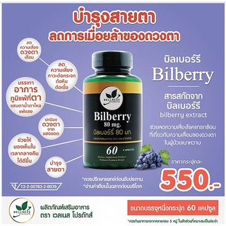 Bilberry 80 mg บิลเบอร์รี สินค้าคุณภาพส่งตรงจากศูนย์ธรรมชาติบำบัด เวลเนสแคร์ อยุธยา