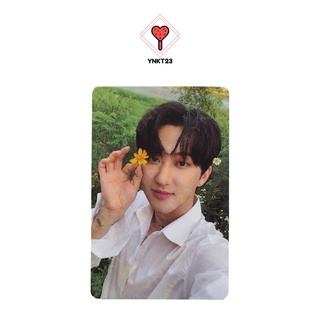 ♡︎พร้อมส่ง♡︎ Stray Kids NOEASY POB Photocard Limited Changbin การ์ด ชางบิน โนอีซี่ สเตรย์คิดส์ สตค ลิมิเตด SKZ ดอกไม้