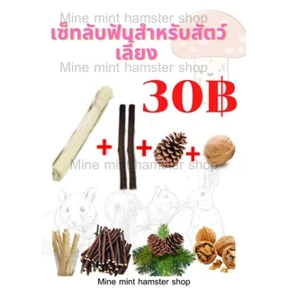 (MMPetShop)ลูกสน วอนัท ไผ่หวาน ไม้แอปเปิ้ล และ เซตลับฟัน ไว้ลับฟันหนูแฮมสเตอร์และสัตวและขนาดเล็กอื่นๆ
