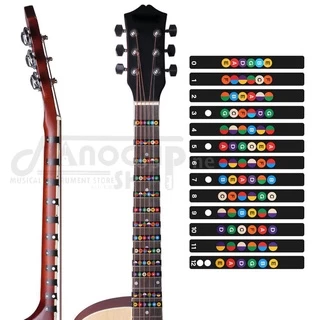 (พร้อมส่ง) สติกเกอร์คอร์ดกีตาร์ fretboard สติ๊กเกอร์โน๊ตสเกลกีตาร์ 12 เฟรท สําหรับกีตาร์โปร่ง กีตาร์ไฟฟ้า
