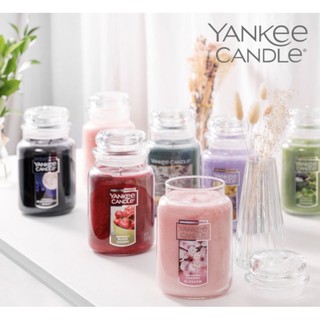 [YANKEE CANDLE] พร้อมส่ง เทียนหอมแยงกี้ กลิ่นยอดนิยม แท้💯%