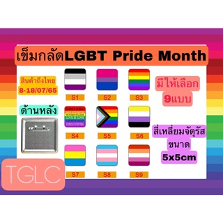 พร้อมส่ง เข็มกลัดสี่เหลี่ยมจัตุรัส LGBT Pride Monthสีรุ้ง มี12แบบ ขนาด5x5cm THAI GREENLICIOUS TGLC