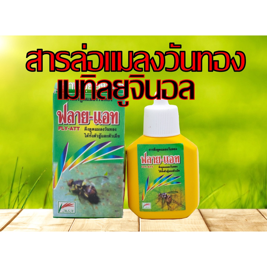 กล่องเขียว สารล่อแมลงวันทอง (เมธิล ยูจีนอล) ของแท้ ยาล่อแมลงวันทอง 15cc.