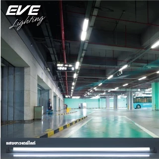 EVE (ลดล้างสต๊อก) หลอดแอลอีดี T8 (ไม่รวมชุดรางไฟ) รุ่น ECO ขนาด 8W 9W แสงขาว แสงเหลือง